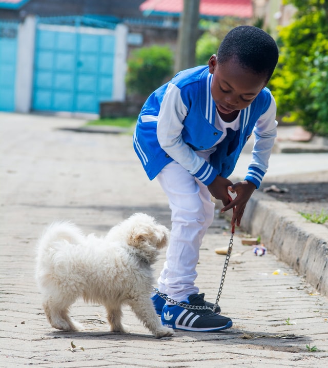 Boy walking dog. Can autism help with autism and ADHD.