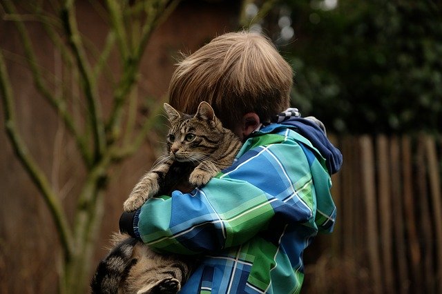 Boy holding cat. Cats benefit a child with autism/ADHD.