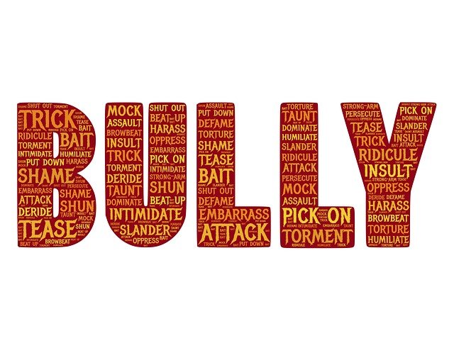 Bully in text. How can you protect your child with autism from bullying?