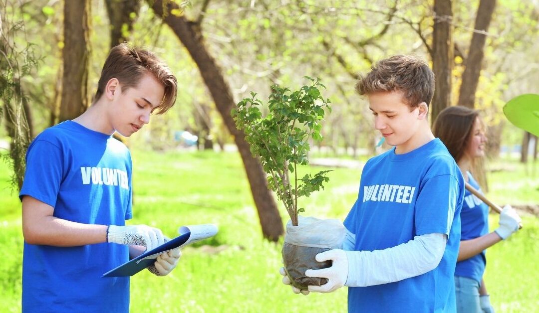 Two teenage boys planting a tree.