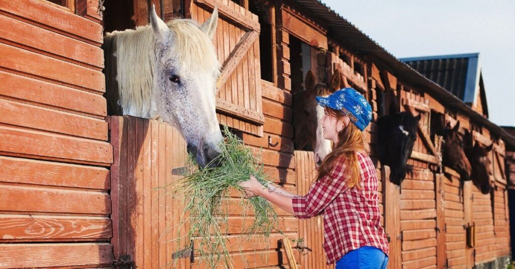 Girl feeding a horse at a stable. How to support a special interest for your child with autism.