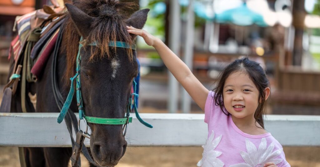 Girl petting a horse and smiling