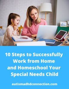 Cover of Guide to 10 Steps to Successfully Work from Home and Homeschool Your Special Needs Child