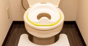 Toilet with training seat sitting on it. How to overcome toilet training challenges with your child who has autism.