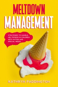 Book cover for "Meltdown Management"